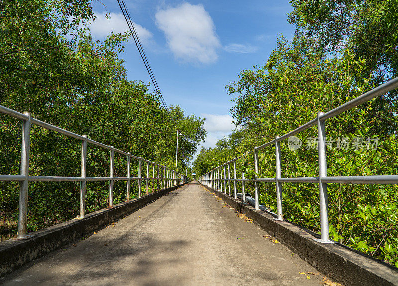 道路穿过越南南部的红树林，Soc Trang省